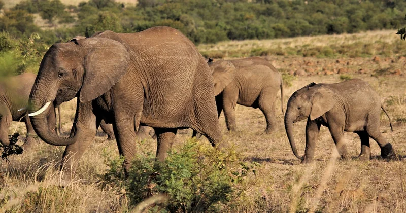 Quel matériel photo embarquer quand on débute en famille