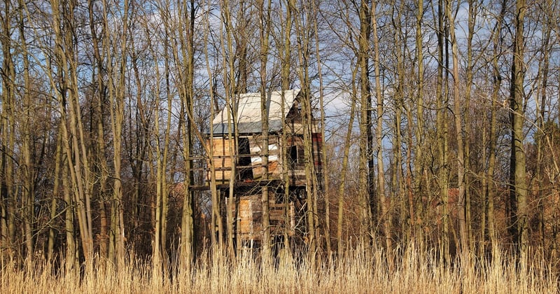 Dormir dans une cabane au sommet des arbres : l’expérience insolite qui change tout